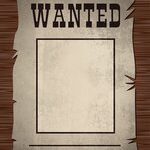wanted-1081663_640 (2)
